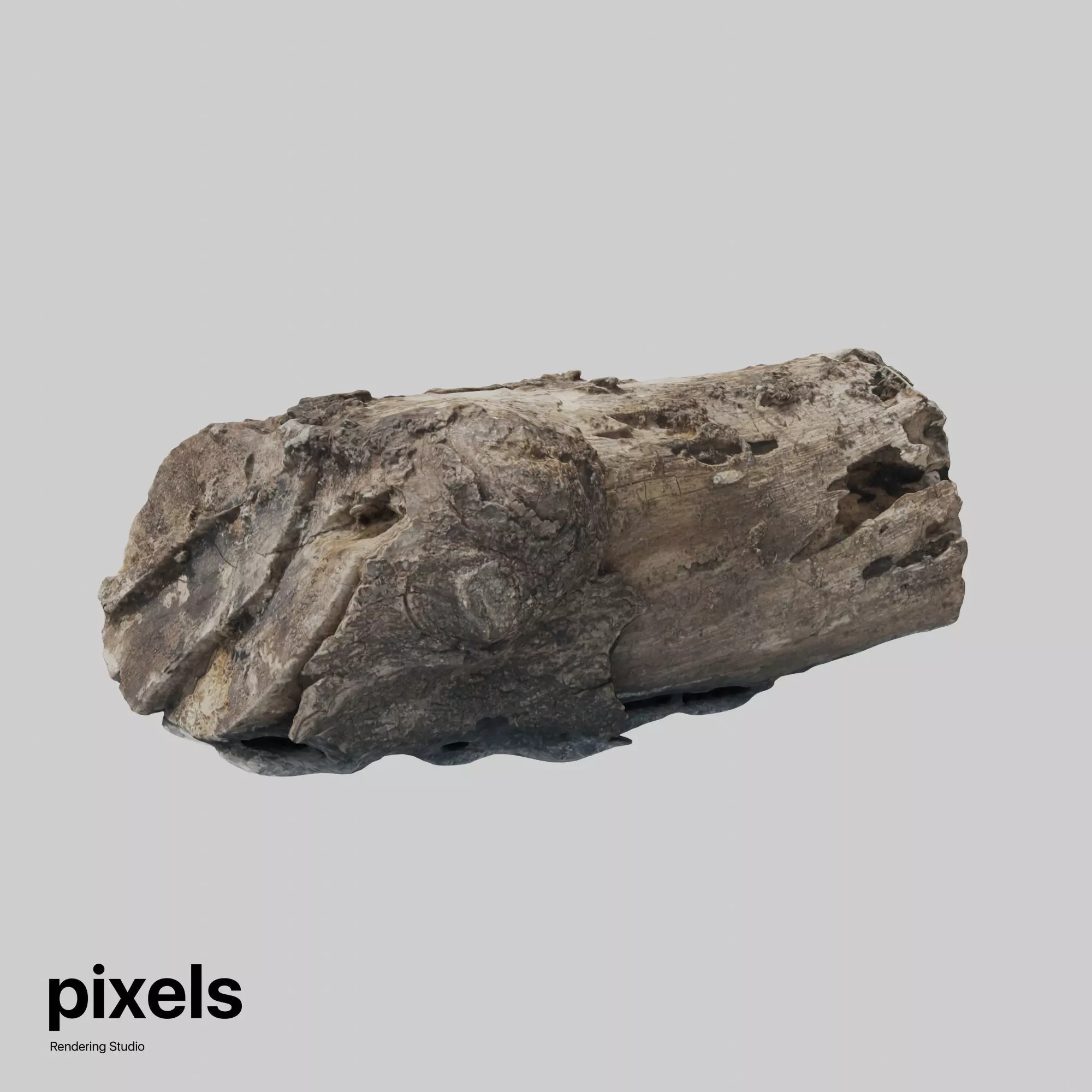 Tree Trunk 001 3D model_0