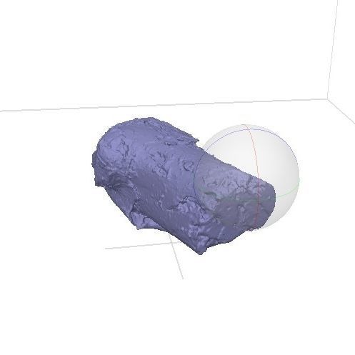 Tree Trunk 001 3D model_7