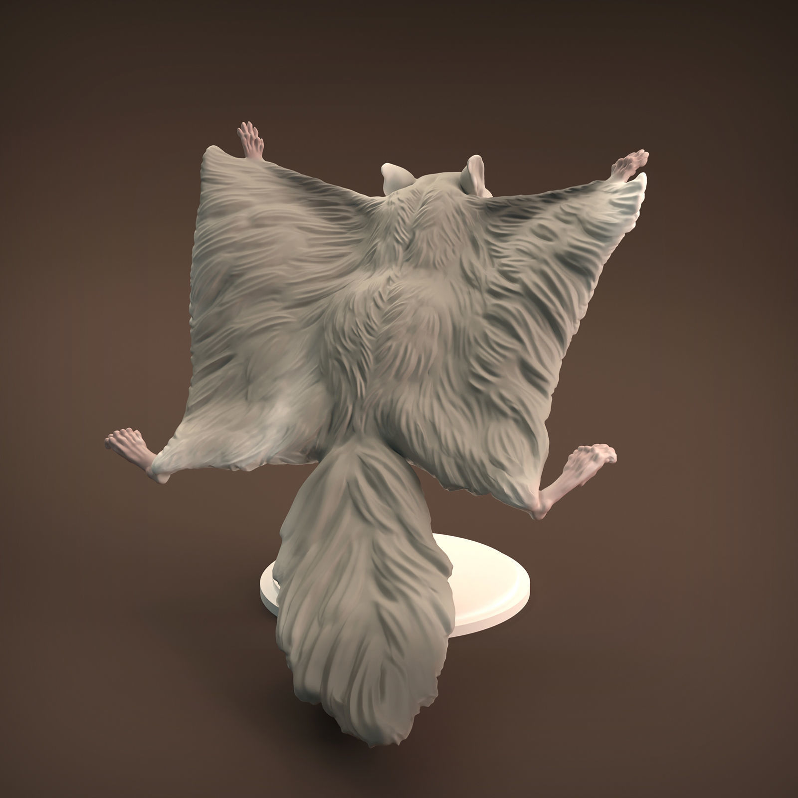 Flying Squirrel for 3D Printing 3D print model_3