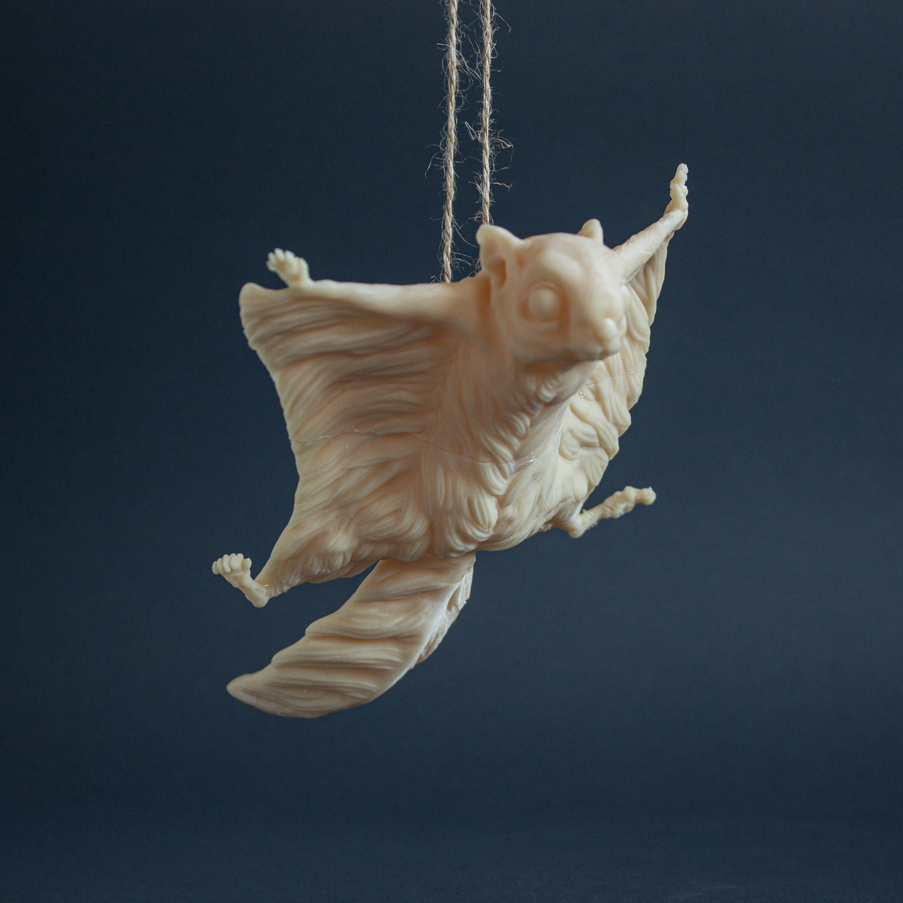 Flying Squirrel for 3D Printing 3D print model_1