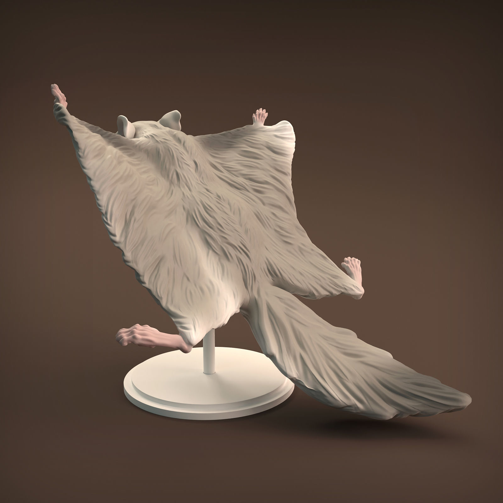 Flying Squirrel for 3D Printing 3D print model_4