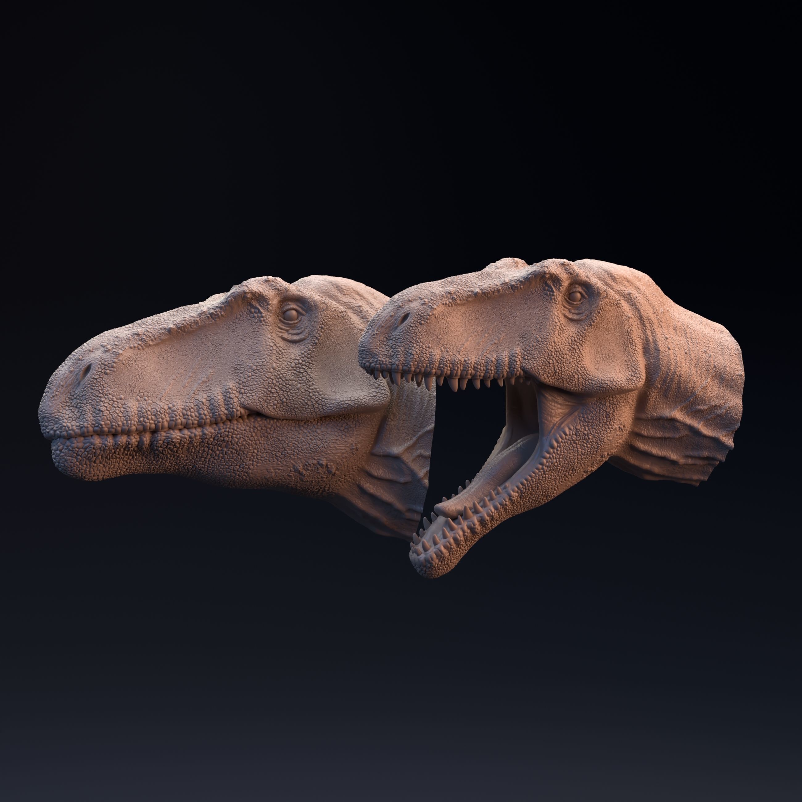 Giganotosaurus head mouth open and closed 3D print model_1