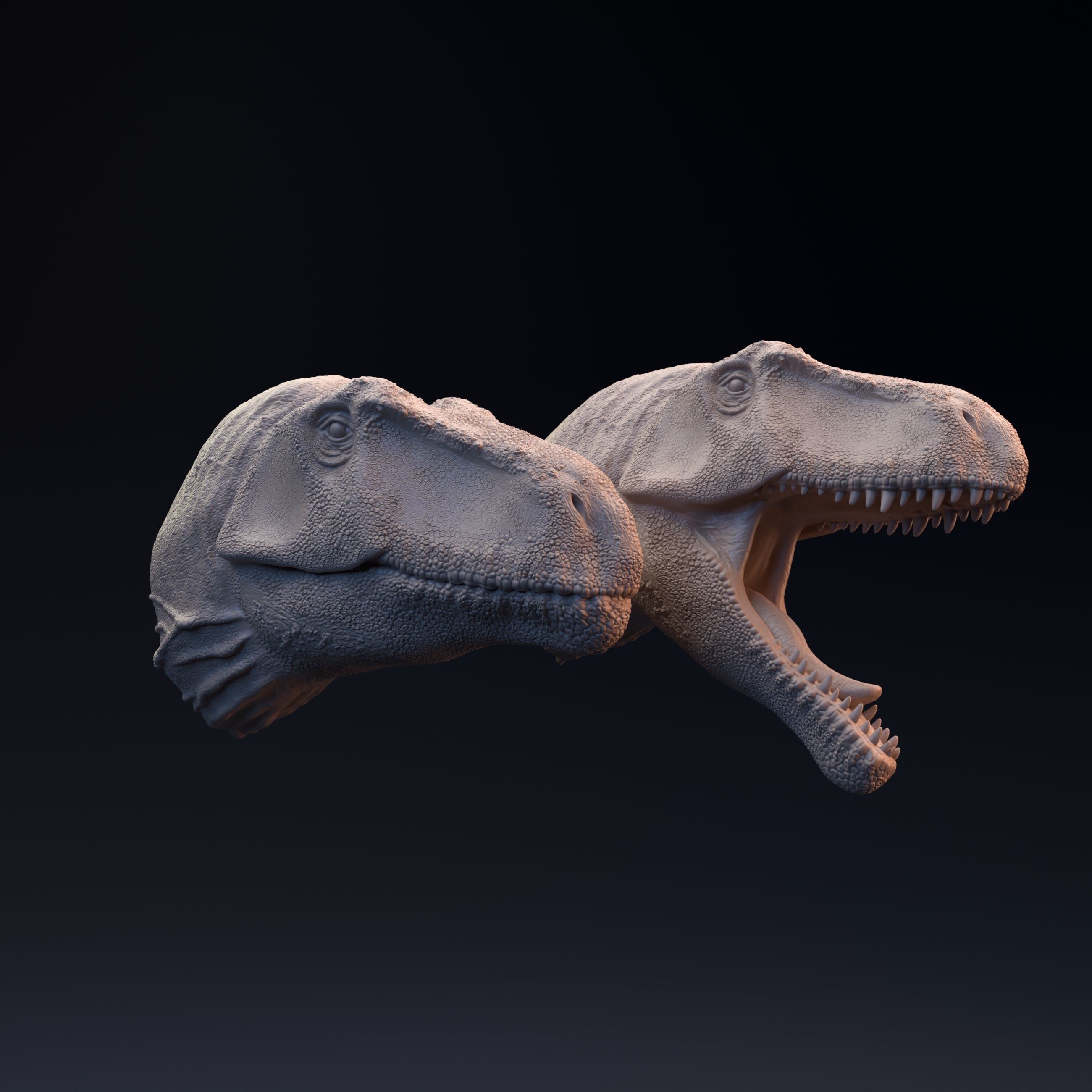 Giganotosaurus head mouth open and closed 3D print model_3