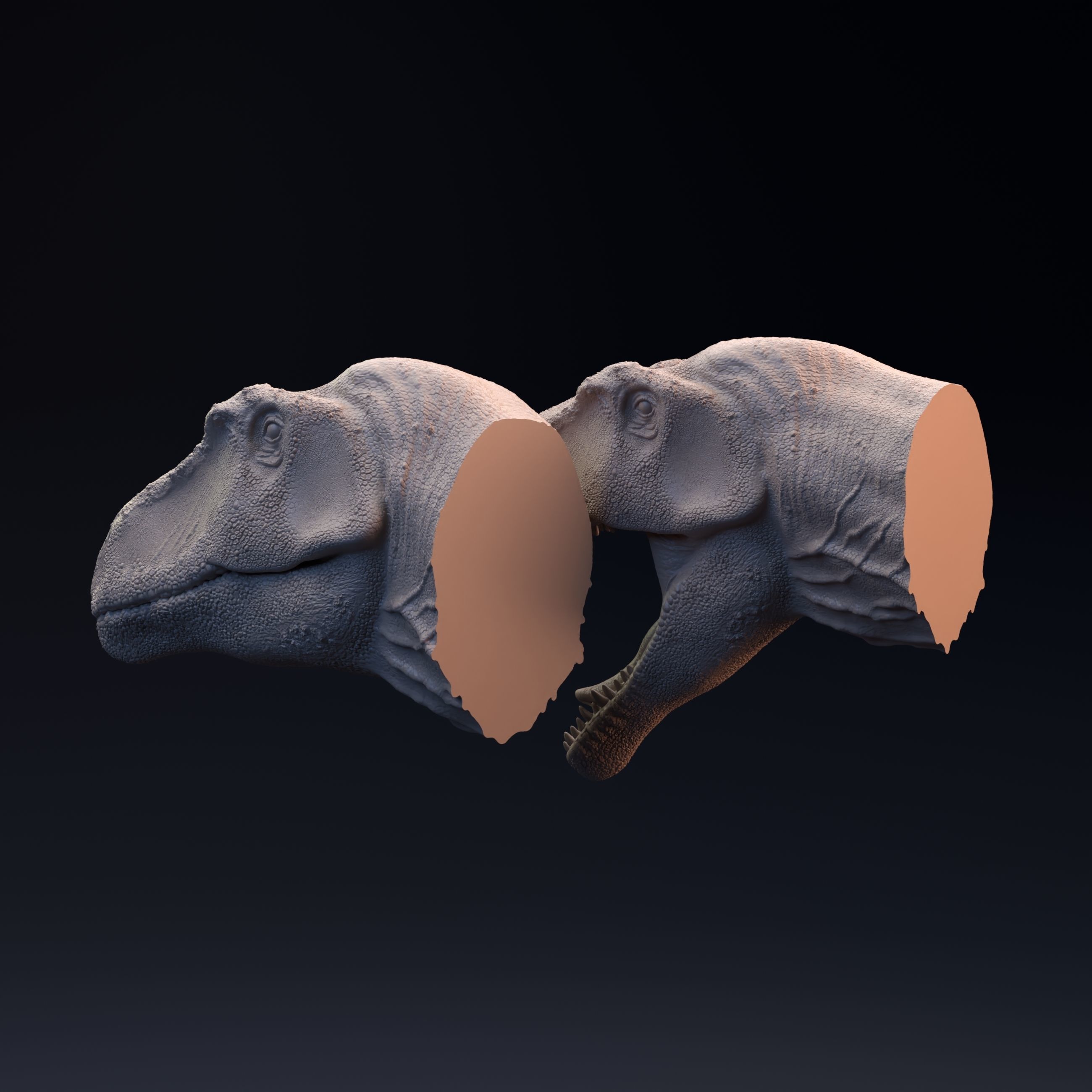 Giganotosaurus head mouth open and closed 3D print model_4