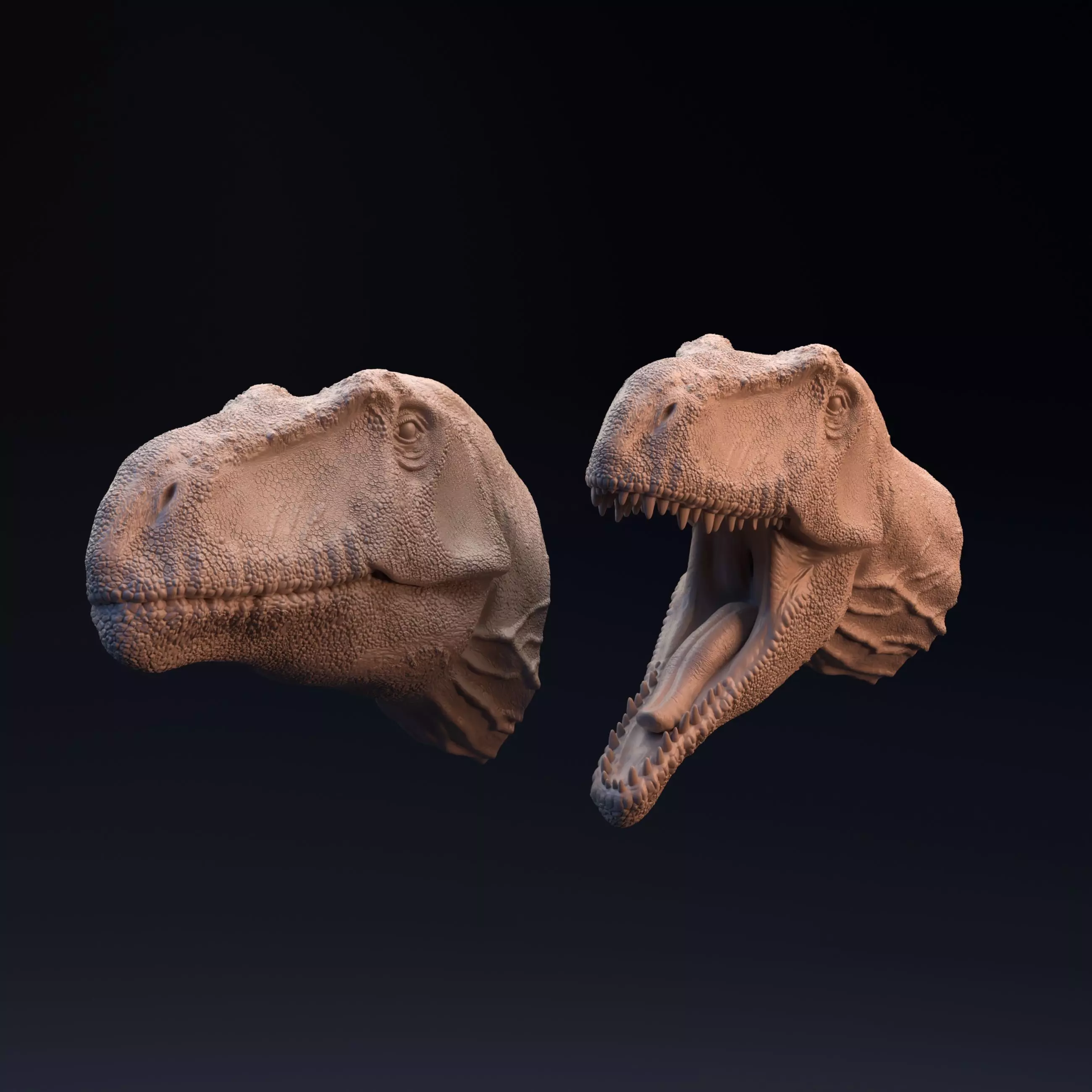 Giganotosaurus head mouth open and closed 3D print model_0
