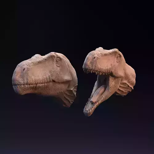 Giganotosaurus head mouth open and closed  3D print model