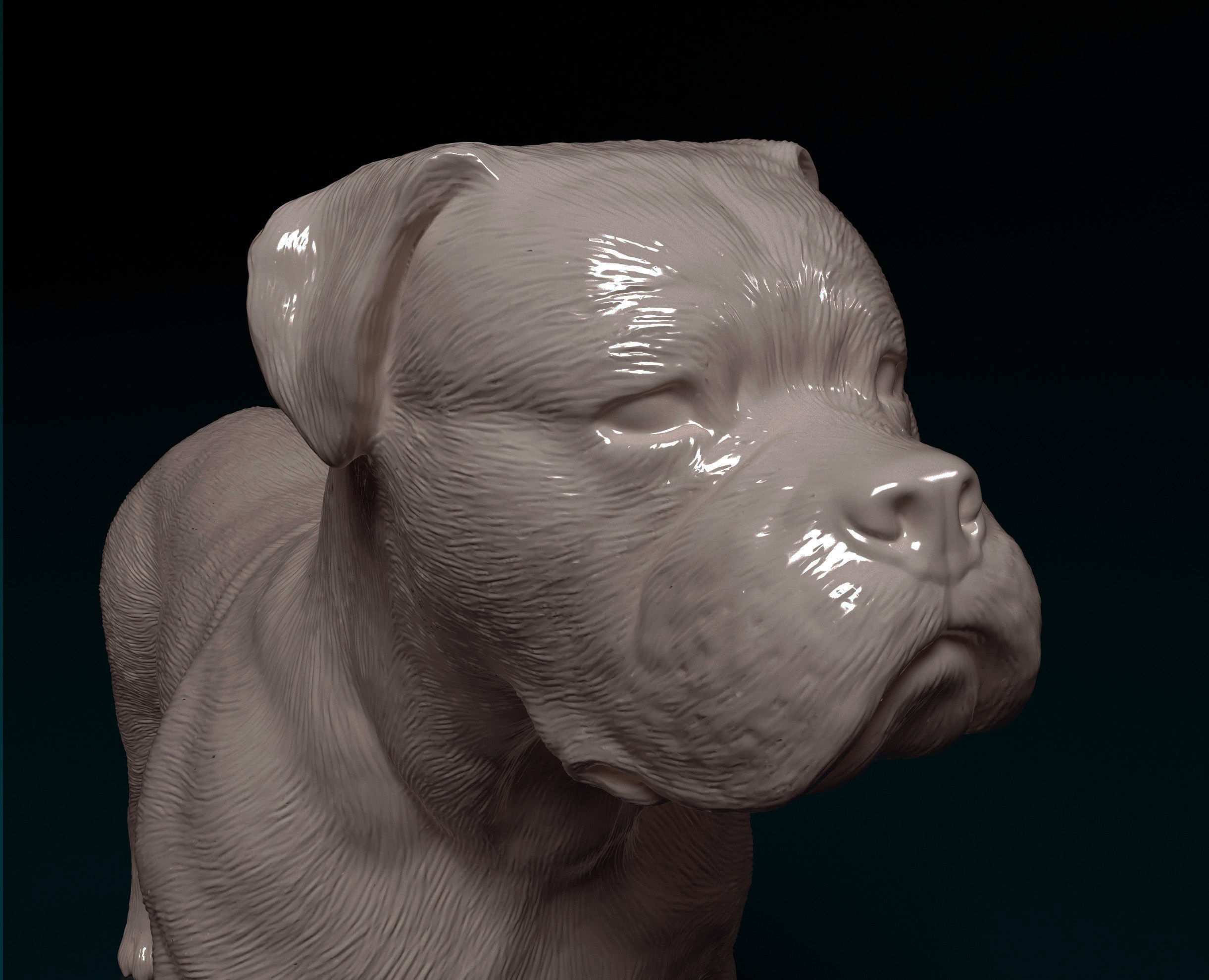 American Bulldog 3D print model_1