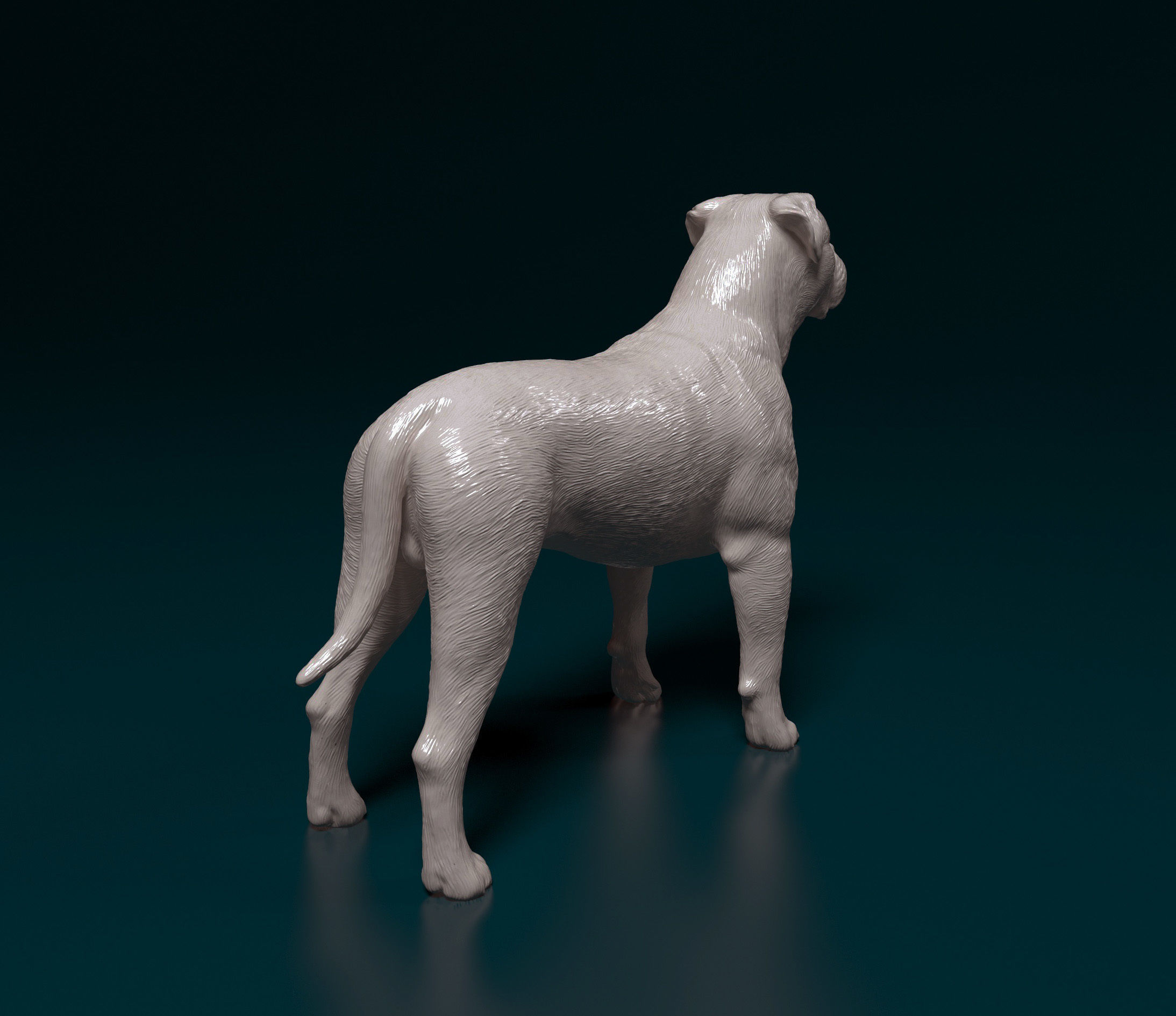 American Bulldog 3D print model_4