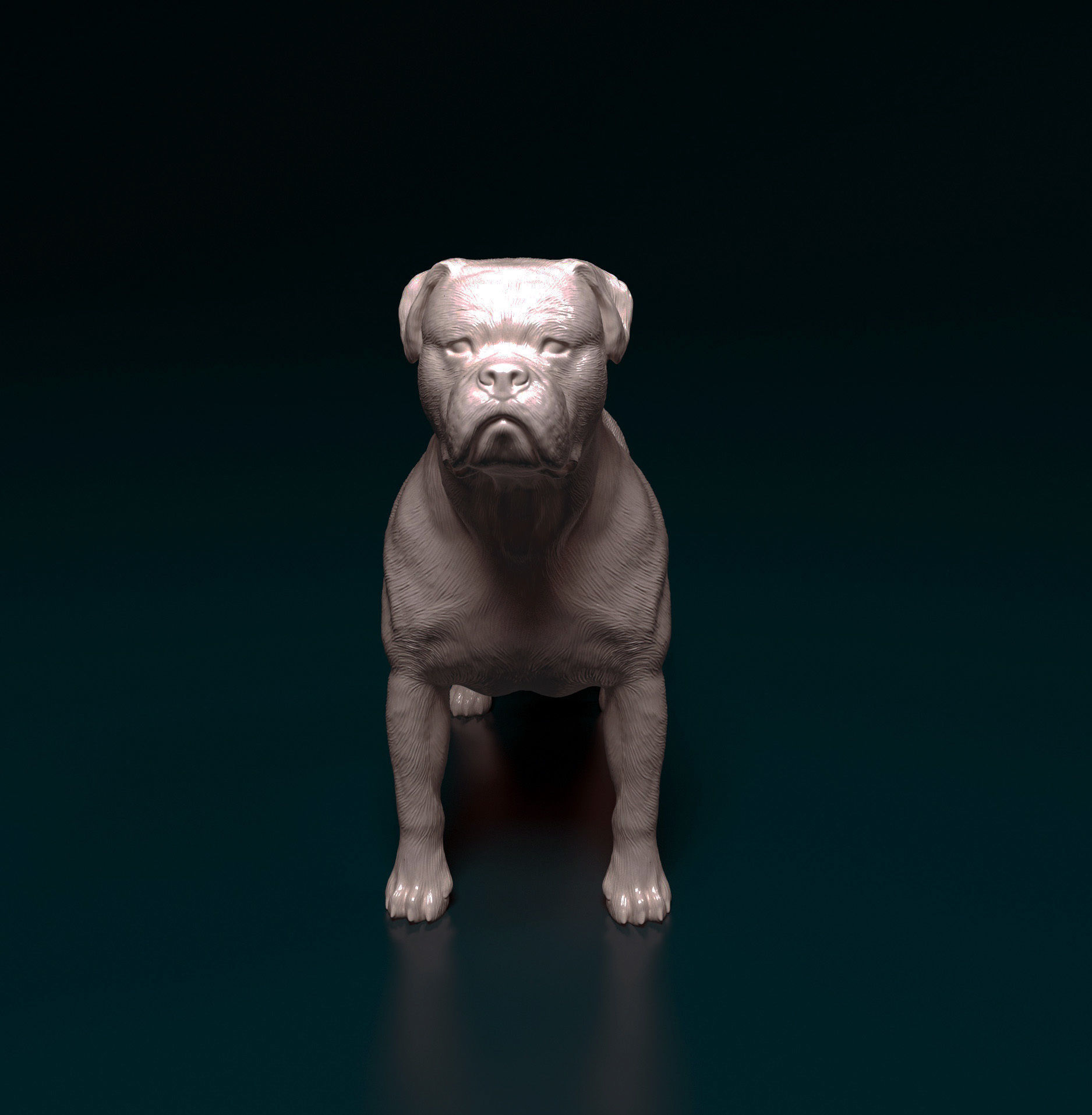 American Bulldog 3D print model_10