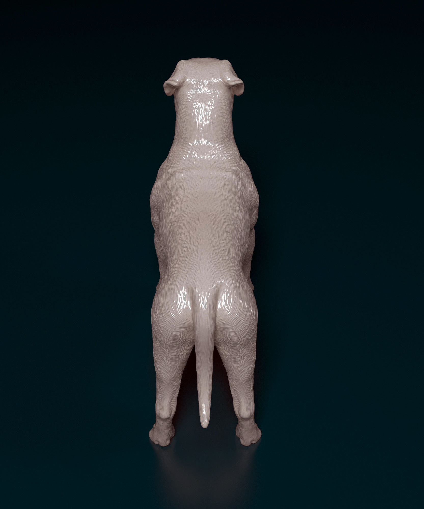 American Bulldog 3D print model_5