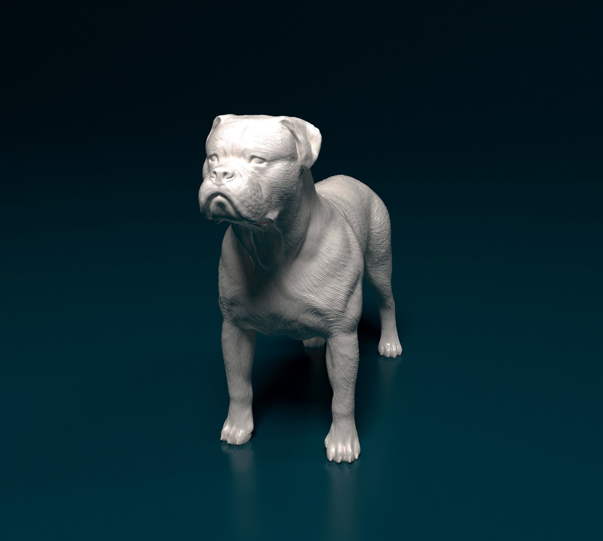 American Bulldog 3D print model_9