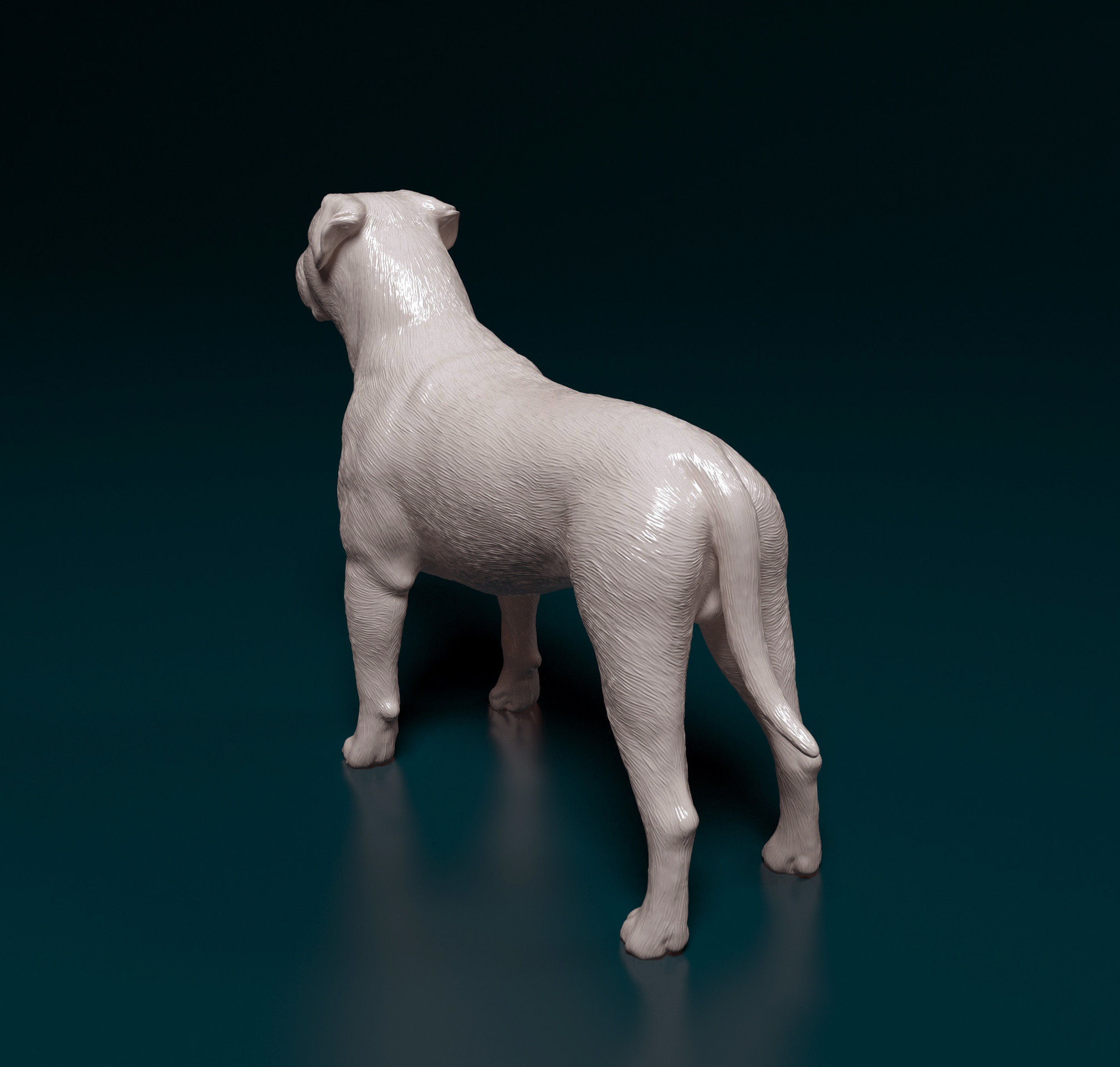American Bulldog 3D print model_8