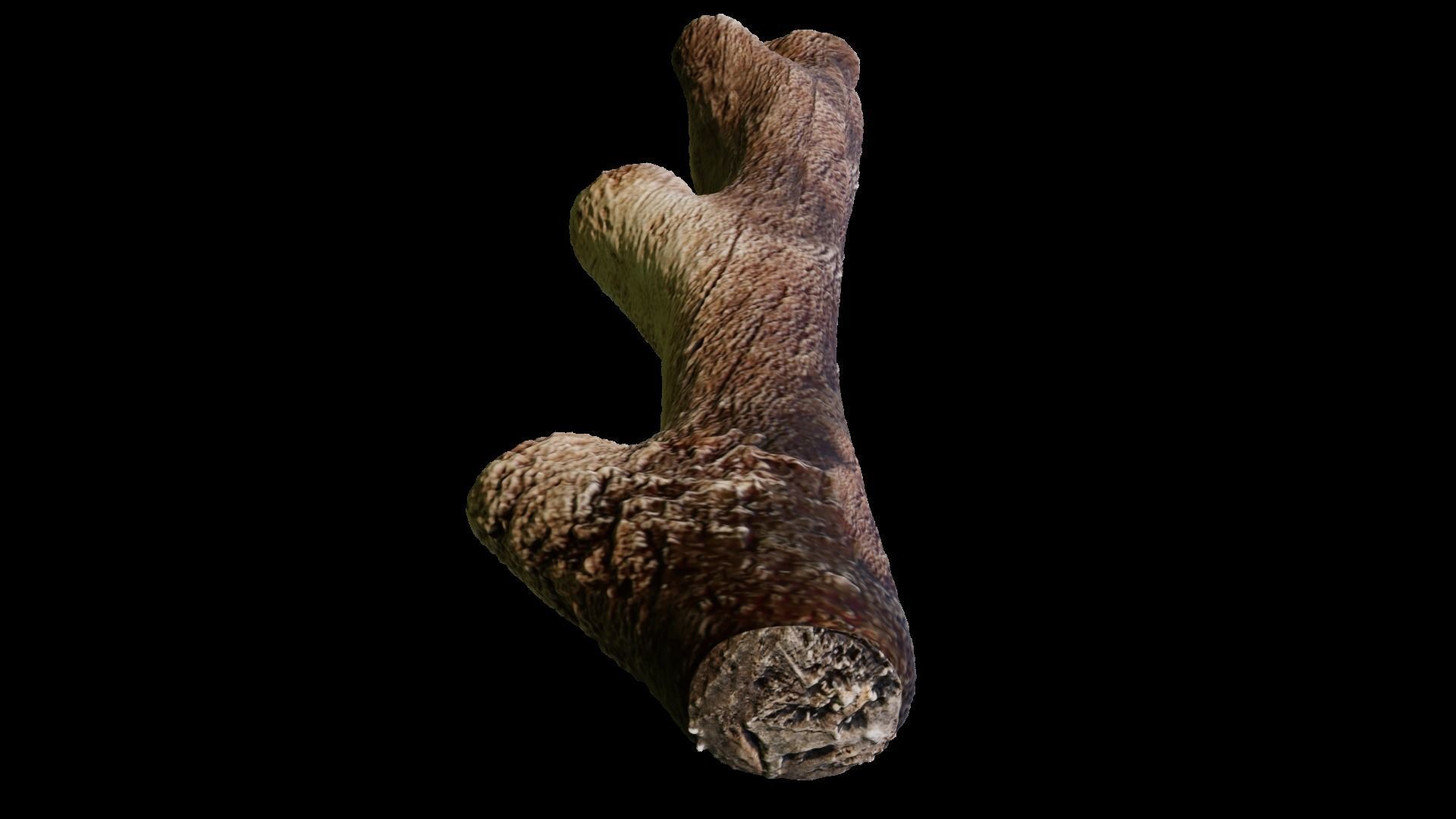 Game assets  dry tree  old tree high poly  3D model_4