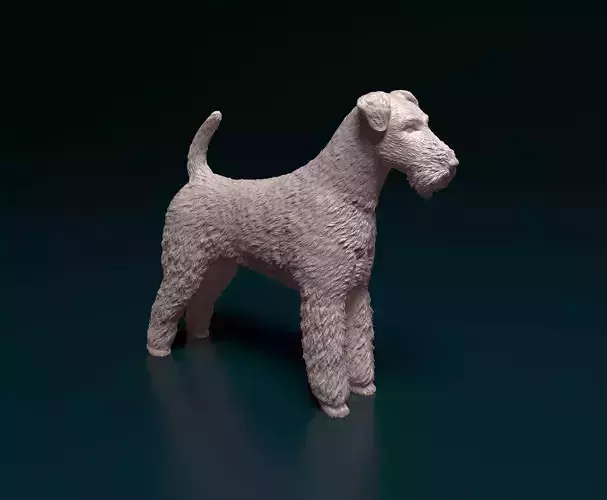 Airedale terrier
