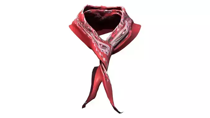 Cowgirl Western Scarf