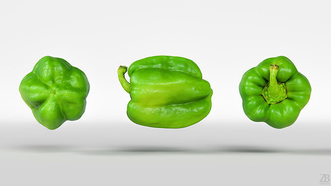 Paprika 3D model 5