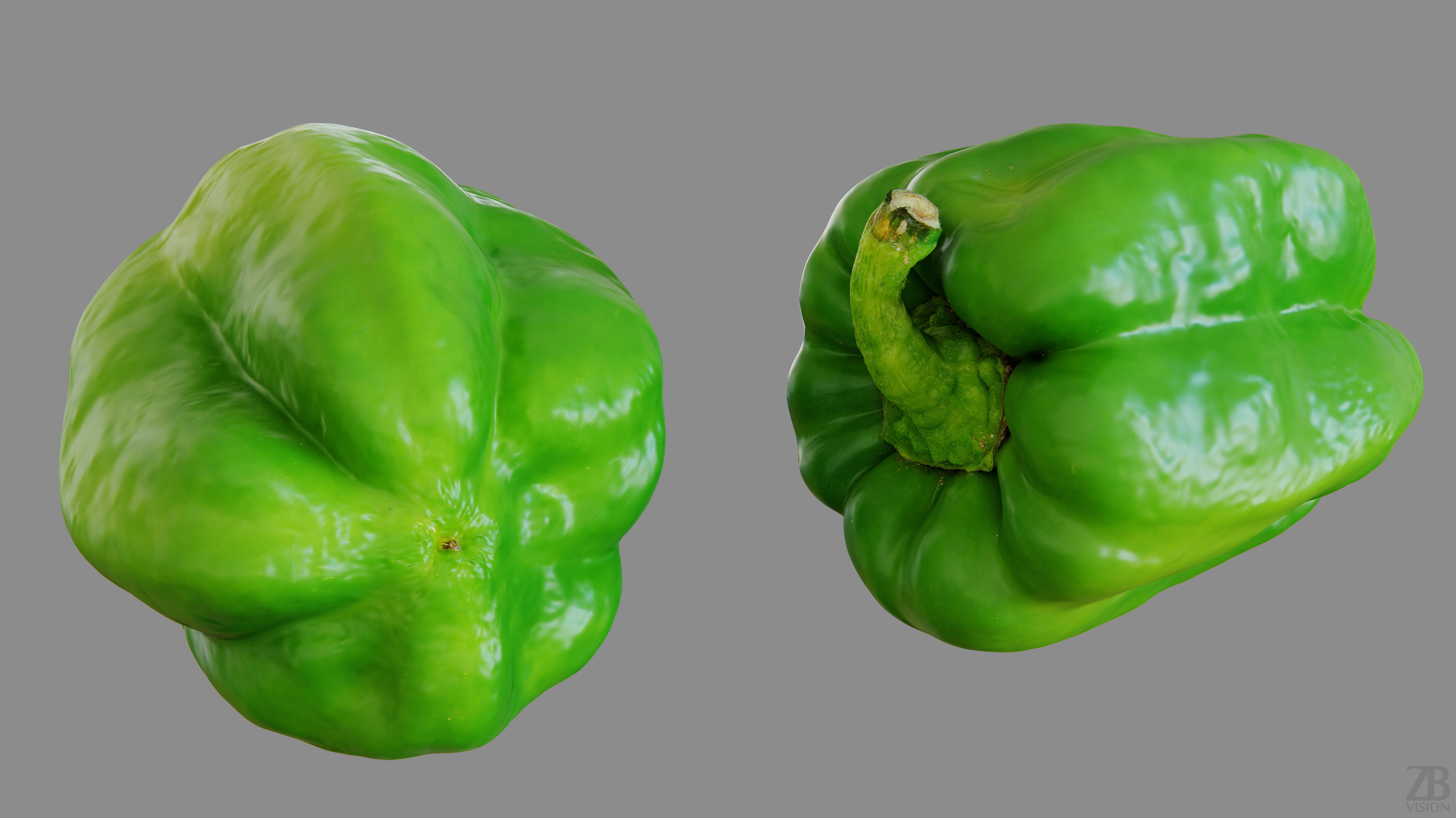 Paprika 3D model_12