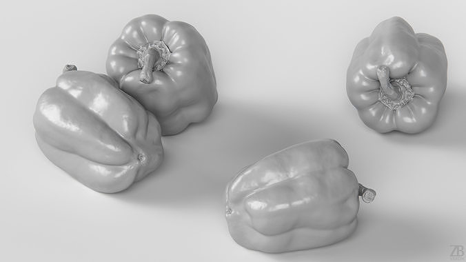 Paprika 3D model 4