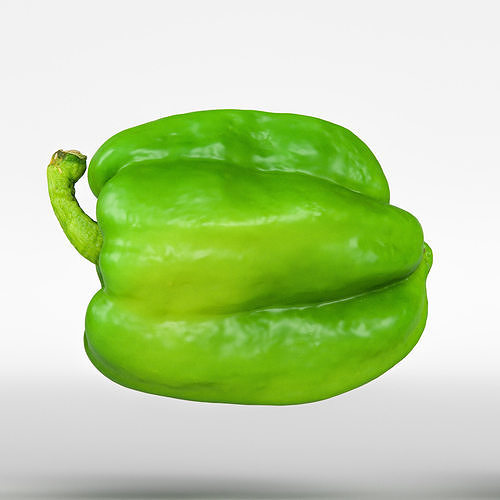 Paprika 3D model 6