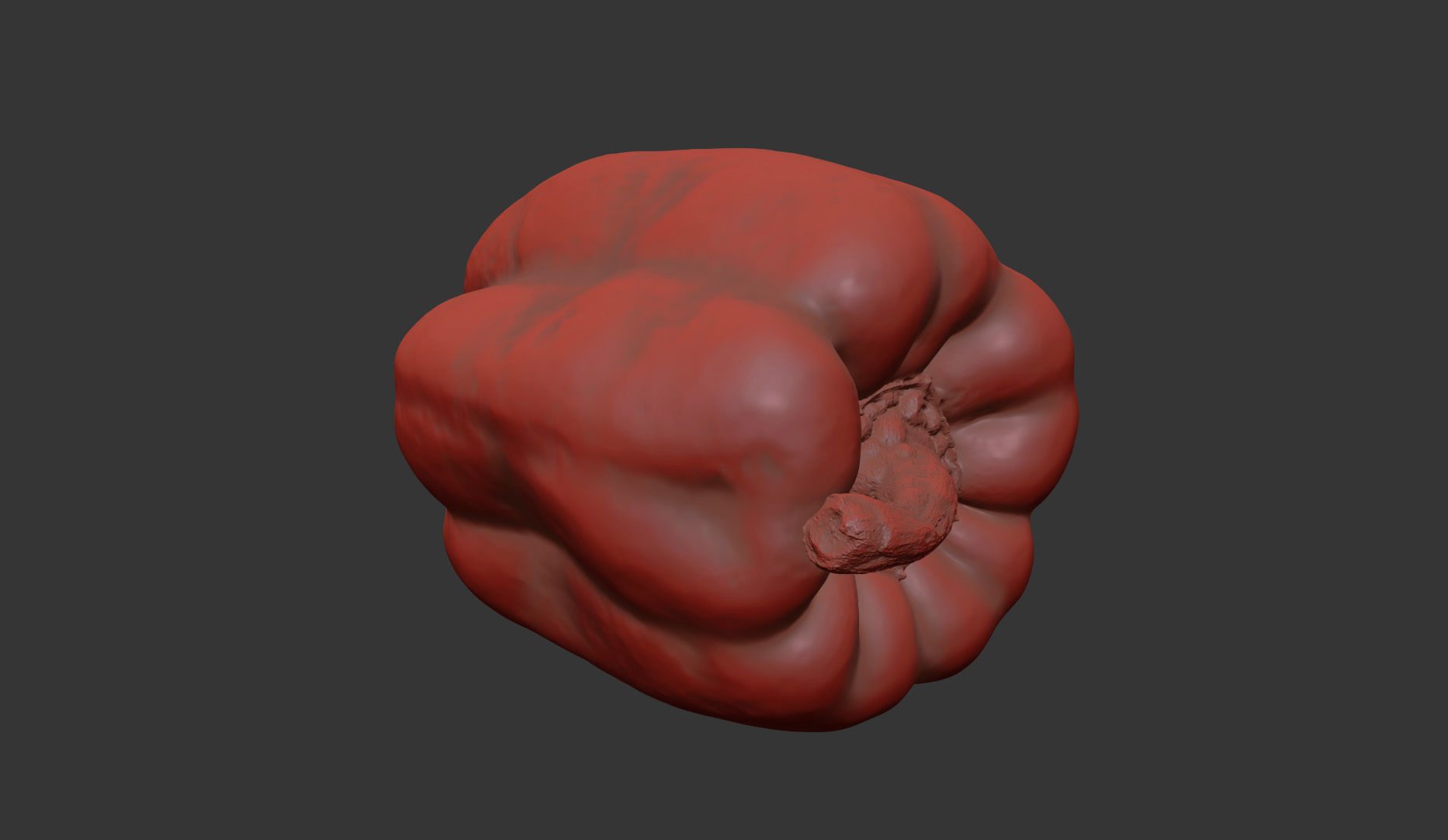 Paprika 3D model_10