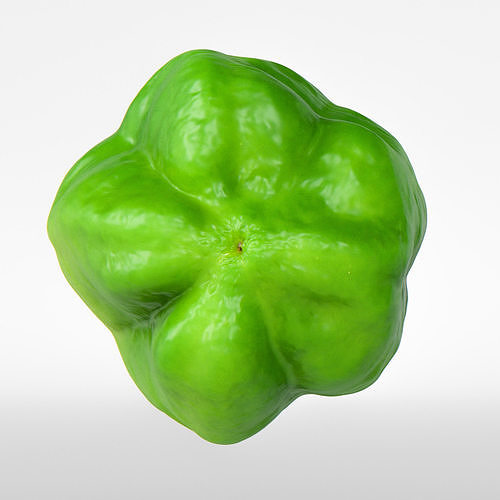 Paprika 3D model 7