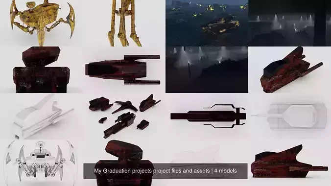 My Graduation projects project files and assets