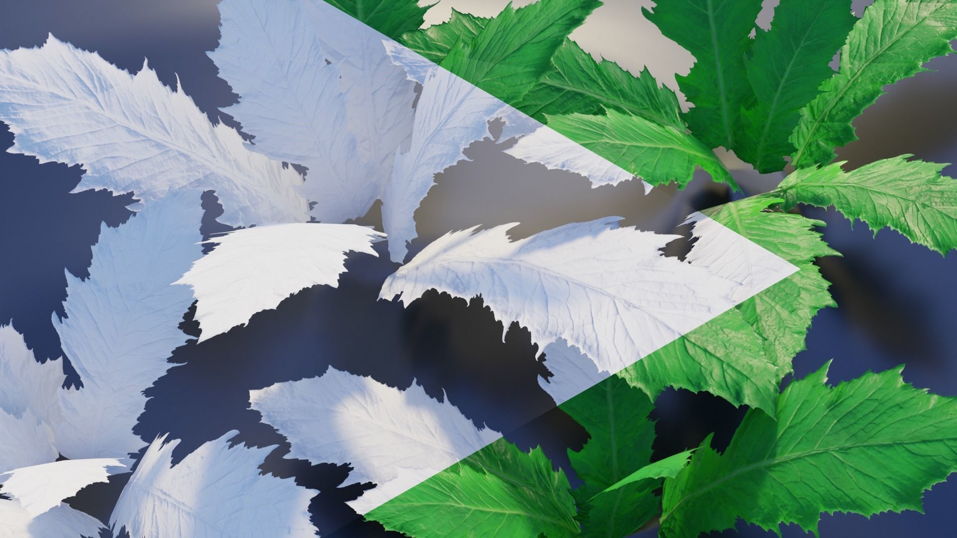 201 Plants - PBR Low-Grow Flora Collection Low-poly 3D model_8