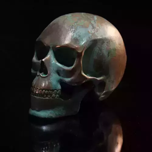 Skull sculpt