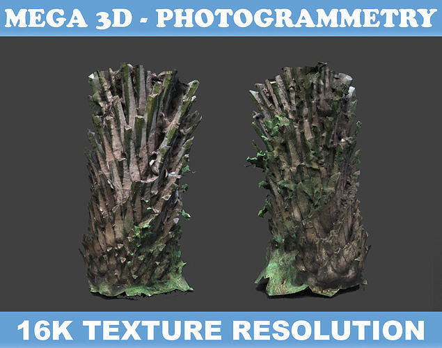 Low poly Oil Palm Trunk 05 - Photogrammetry Low-poly 3D model