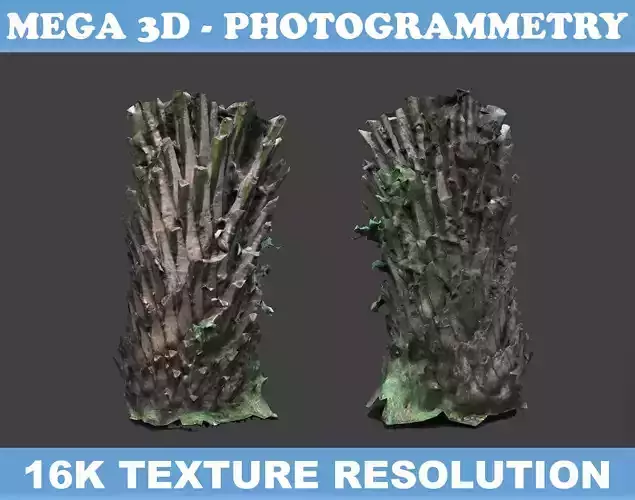 Low poly Oil Palm Trunk 05 - Photogrammetry