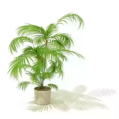 3 D Potted Plant