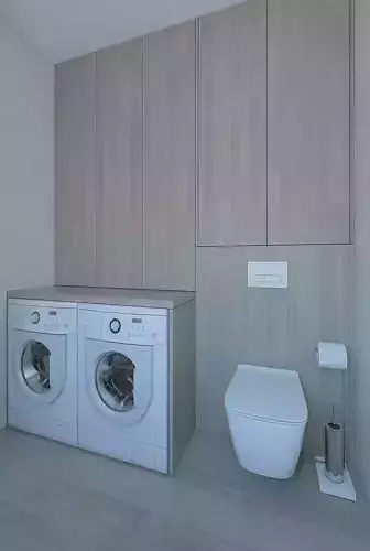 Beautiful toilet room with washing area