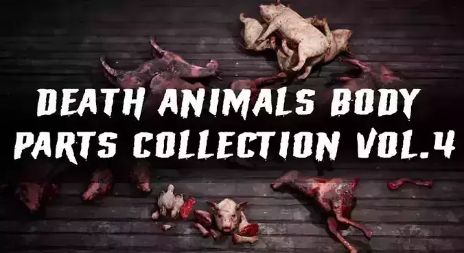 Death animals body parts collection 
