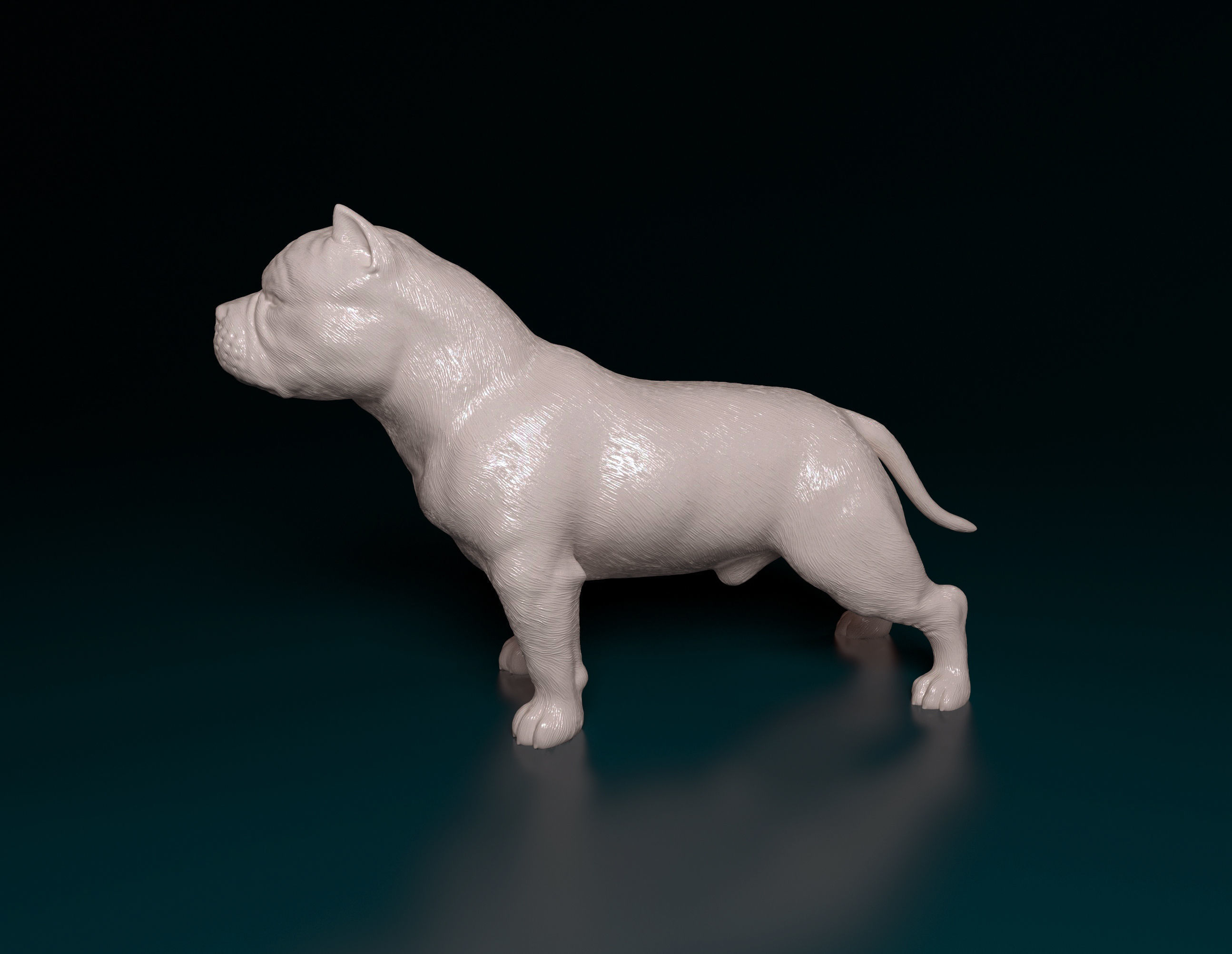 American Bully  3D print model_5