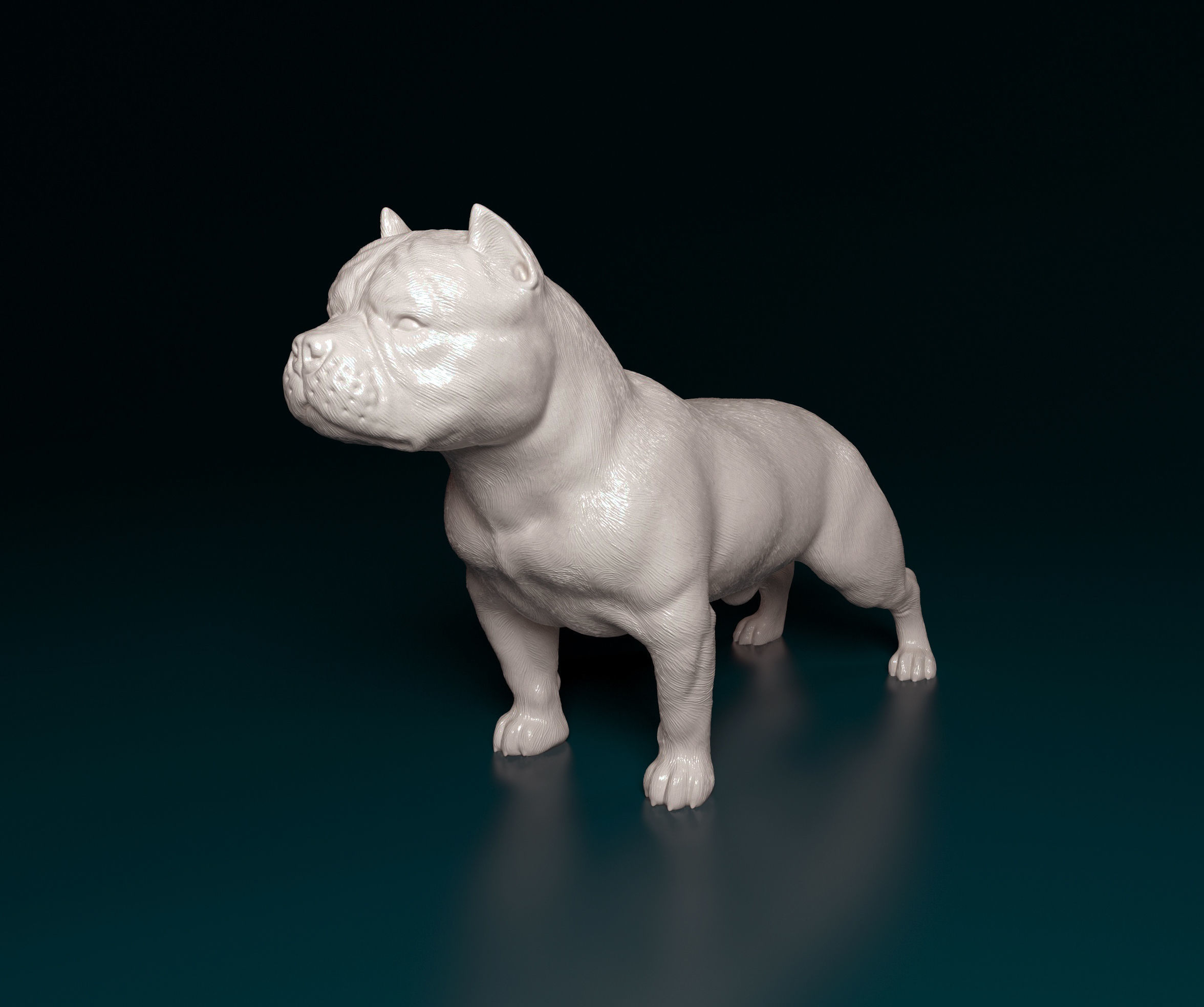 American Bully  3D print model_6