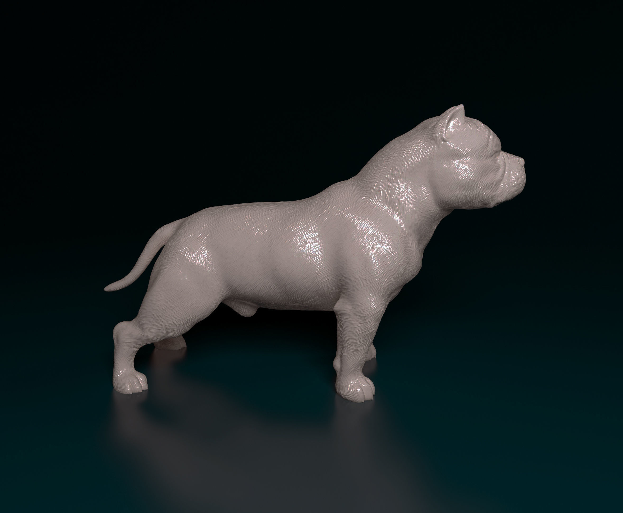American Bully  3D print model_1
