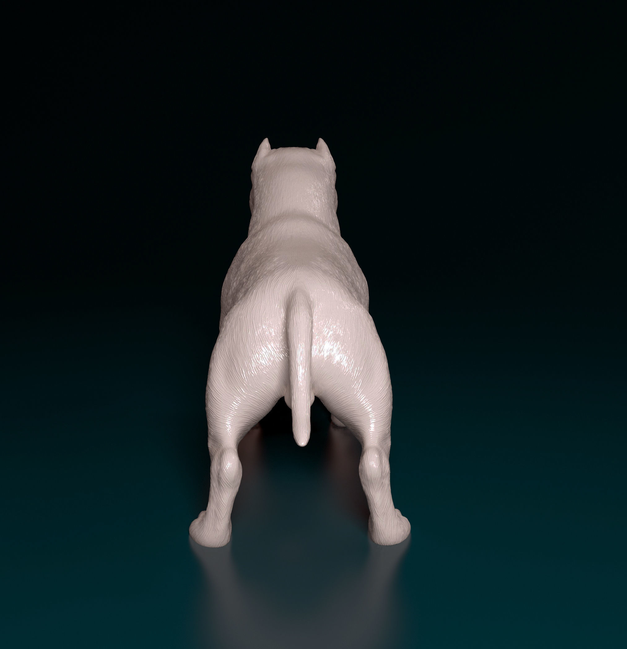 American Bully  3D print model_3