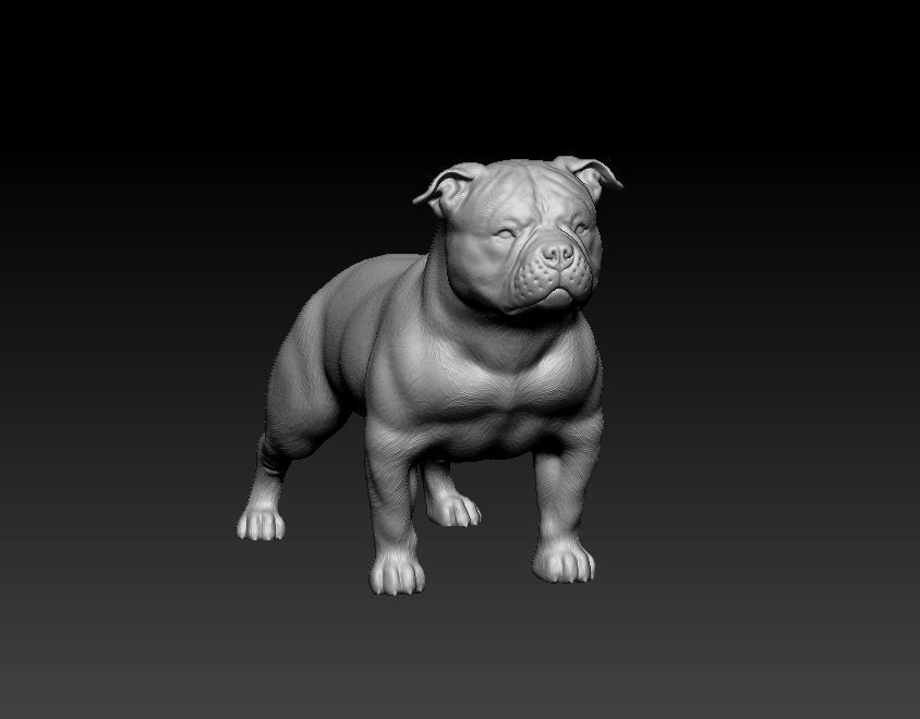 American Bully  3D print model_8