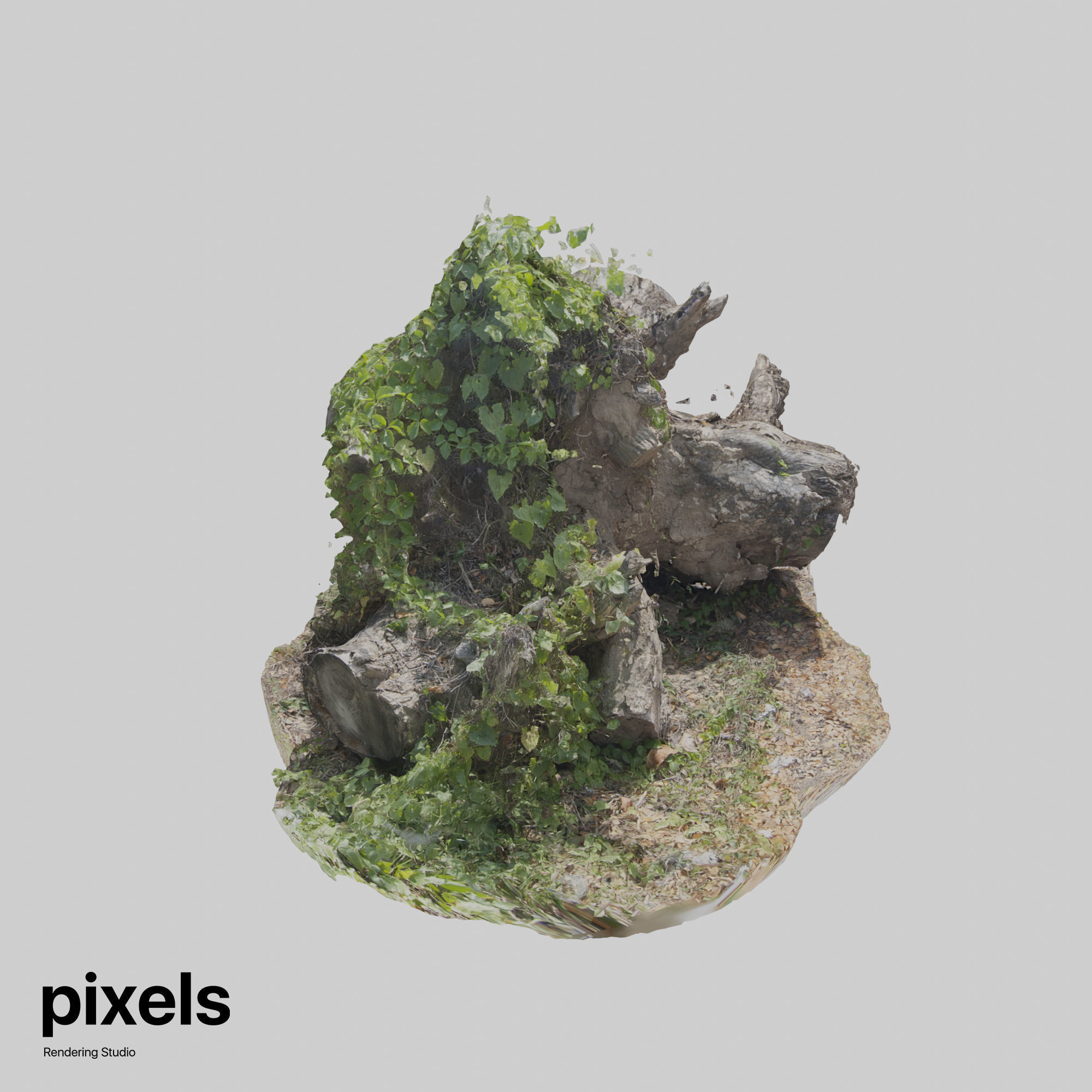 Tree Trunk 003 3D model_2