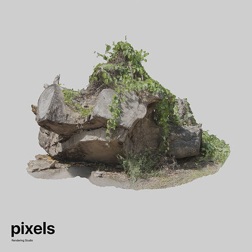 Tree Trunk 003 3D model