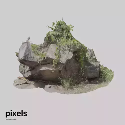 Tree Trunk 003 3D model