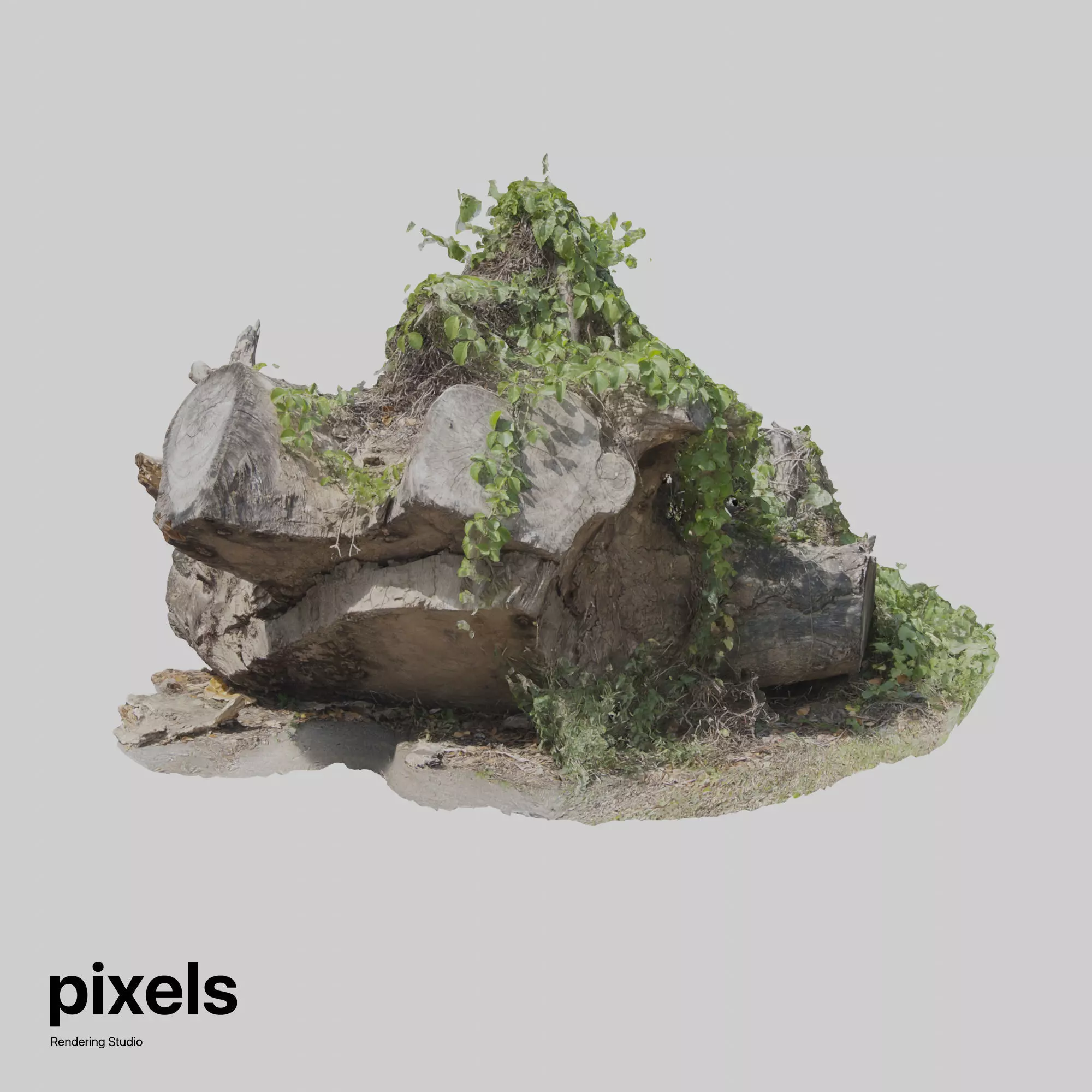 Tree Trunk 003 3D model_0