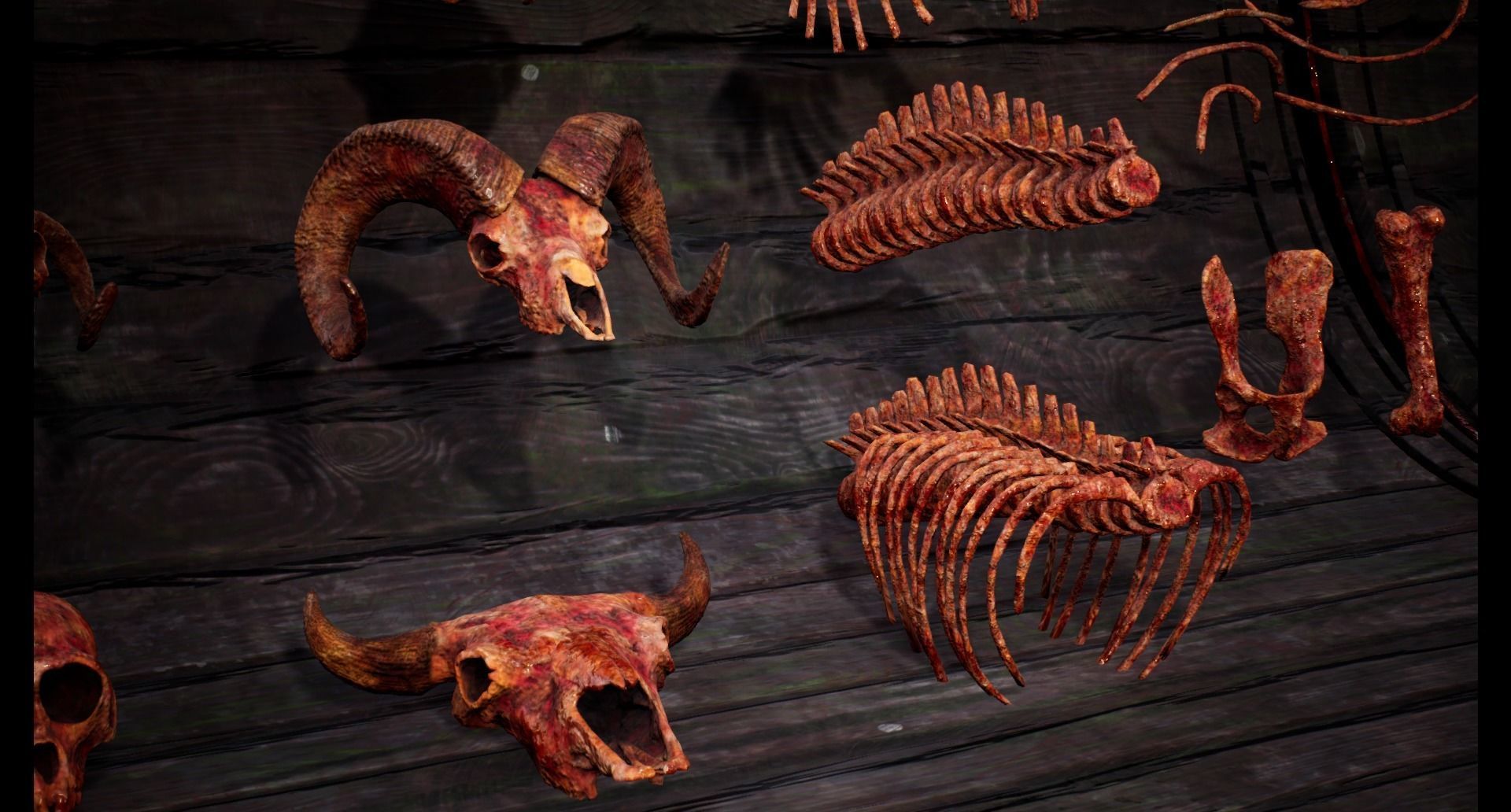 Mega body and bones parts with skulls collection Low-poly 3D model_28