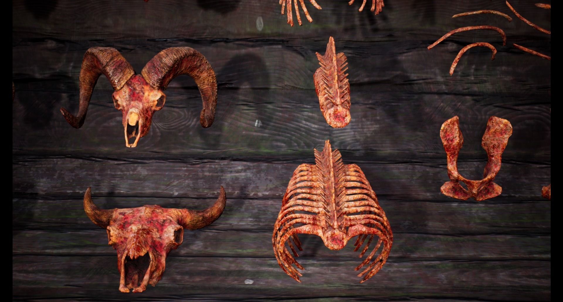 Mega body and bones parts with skulls collection Low-poly 3D model_42