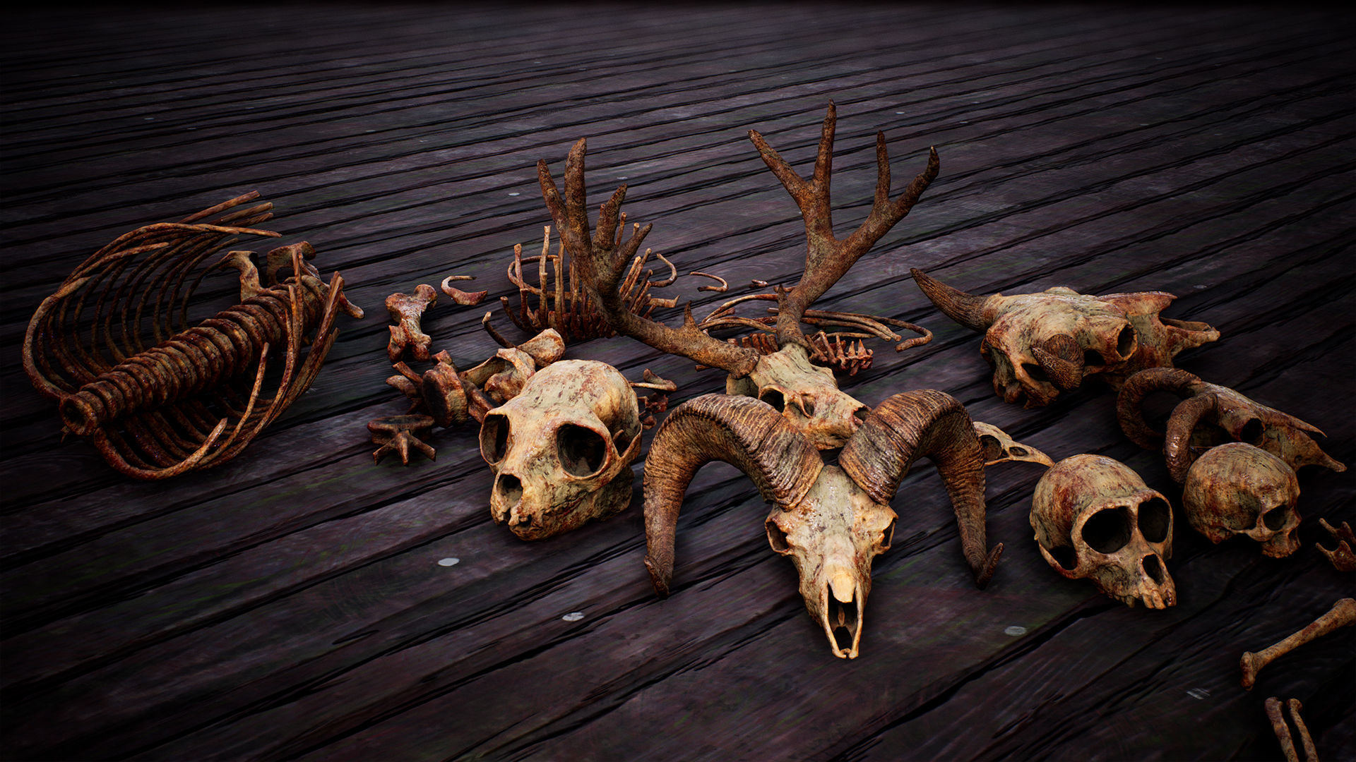 Mega body and bones parts with skulls collection Low-poly 3D model_13