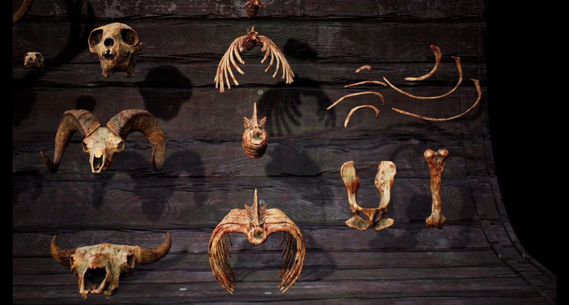 Mega body and bones parts with skulls collection Low-poly 3D model_25