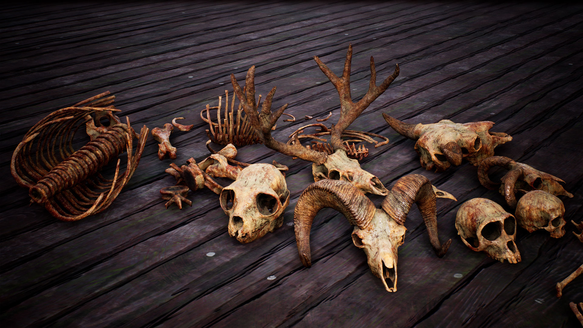 Mega body and bones parts with skulls collection Low-poly 3D model_12