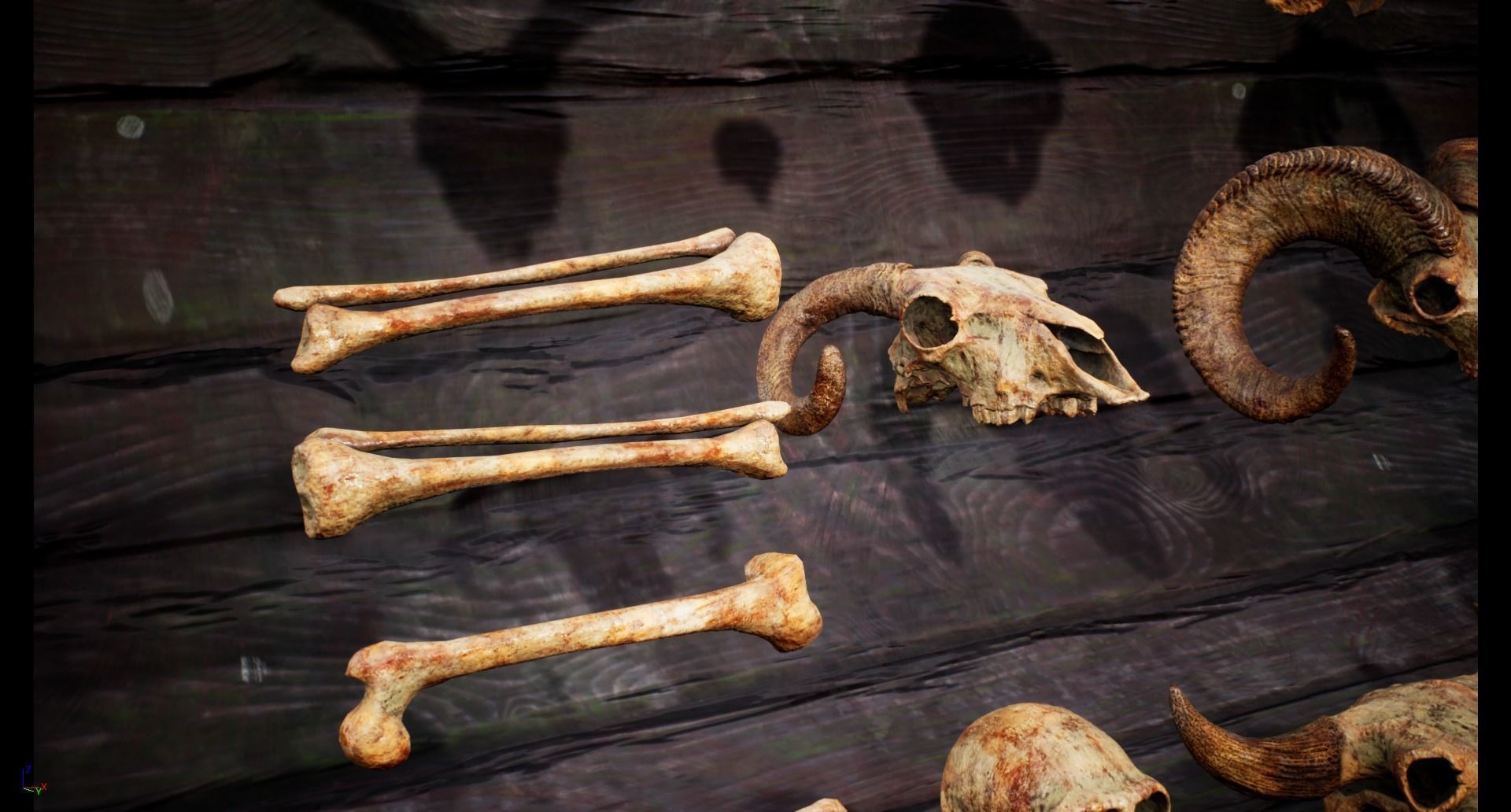 Mega body and bones parts with skulls collection Low-poly 3D model_23