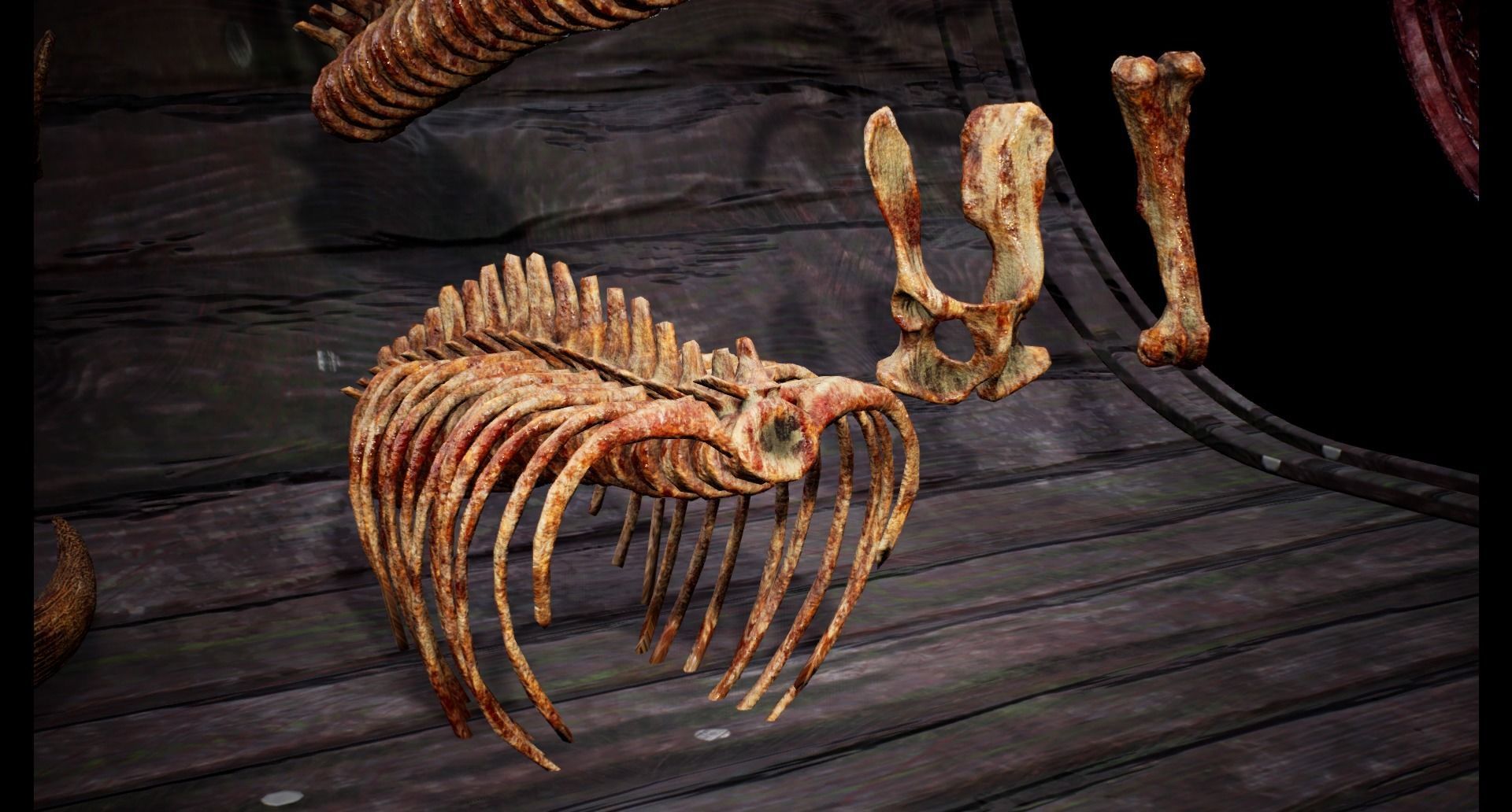 Mega body and bones parts with skulls collection Low-poly 3D model_22