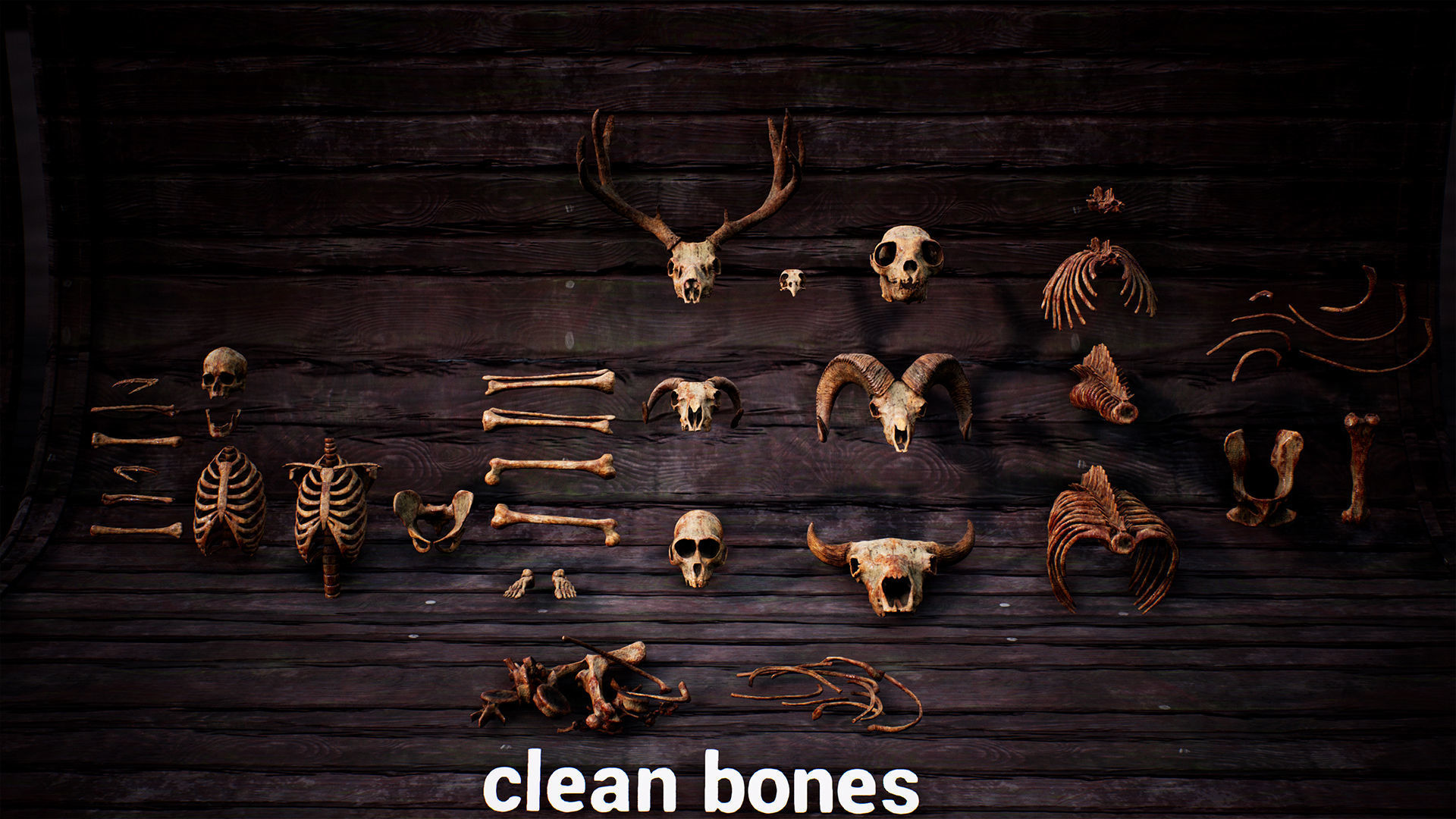 Mega body and bones parts with skulls collection Low-poly 3D model_4